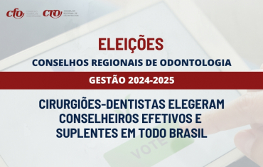 Eleições 2023: Plenários dos Conselhos Regionais foram eleitos em 06 de outubro